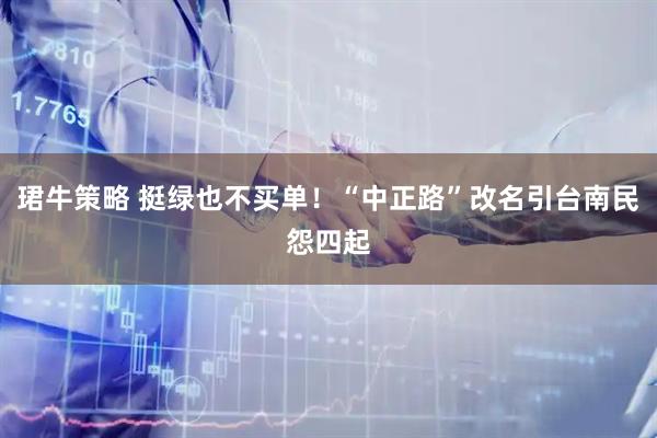 珺牛策略 挺绿也不买单！“中正路”改名引台南民怨四起