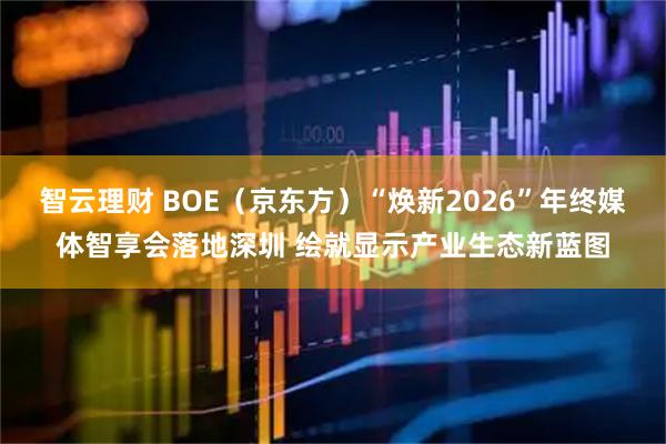 智云理财 BOE（京东方）“焕新2026”年终媒体智享会落地深圳 绘就显示产业生态新蓝图