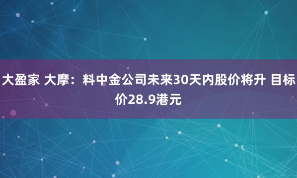 大盈家 大摩:料中金公司未来30天内股价将升 目标价28.9港元